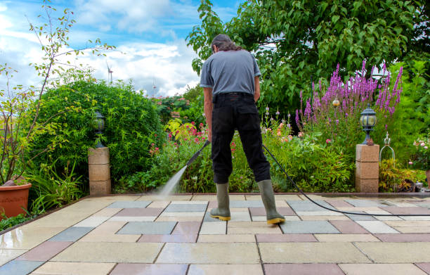 Best Driveway Pressure Washing  in Lakeport, CA